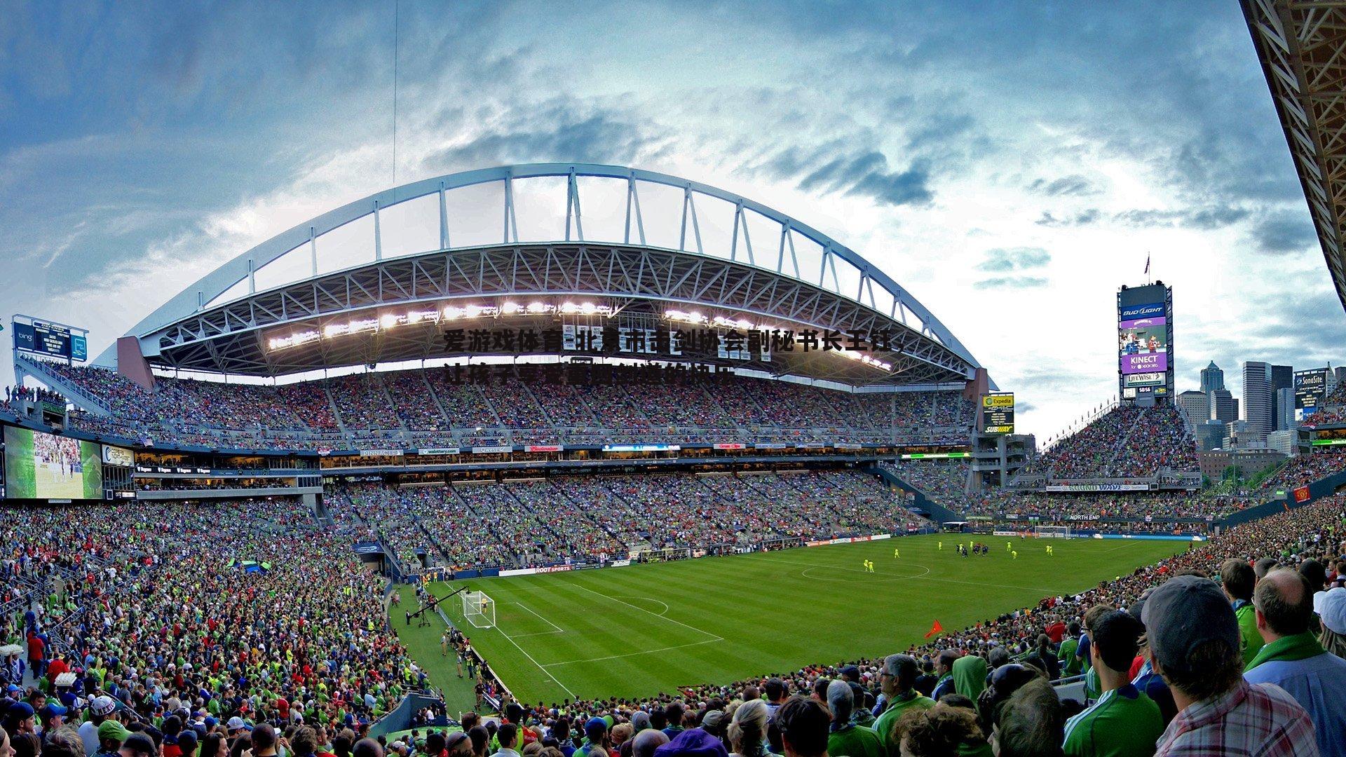 爱游戏体育-北京市击剑协会副秘书长王钰，让孩子享受重回剑道的快乐